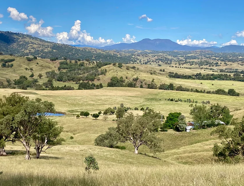 227 Miranee Road, Scone, NSW 2337, 3 ਕਮਰੇ, 2 ਬਾਥਰੂਮ, Lifestyle Property