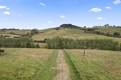 Forestry Road, Waitoki, Rodney District, 0房, 0浴, Lifestyle Section