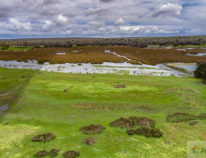 LOT 14 Balyan Retreat, Perup, Bunbury, 0房, 0浴, Section