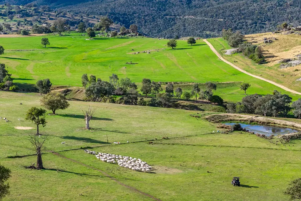 Wyangala 1,141ACRE* GRAZING OPERATION WITH EXCEPTIONAL WATER VIEWS OVER WYANGALA WATERS!