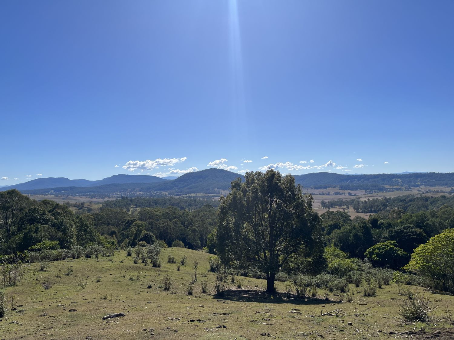 23 RAMBALDINIS RD, NAUGHTONS GAP NSW 2470, 0 Kuwarto, 0 Banyo, House