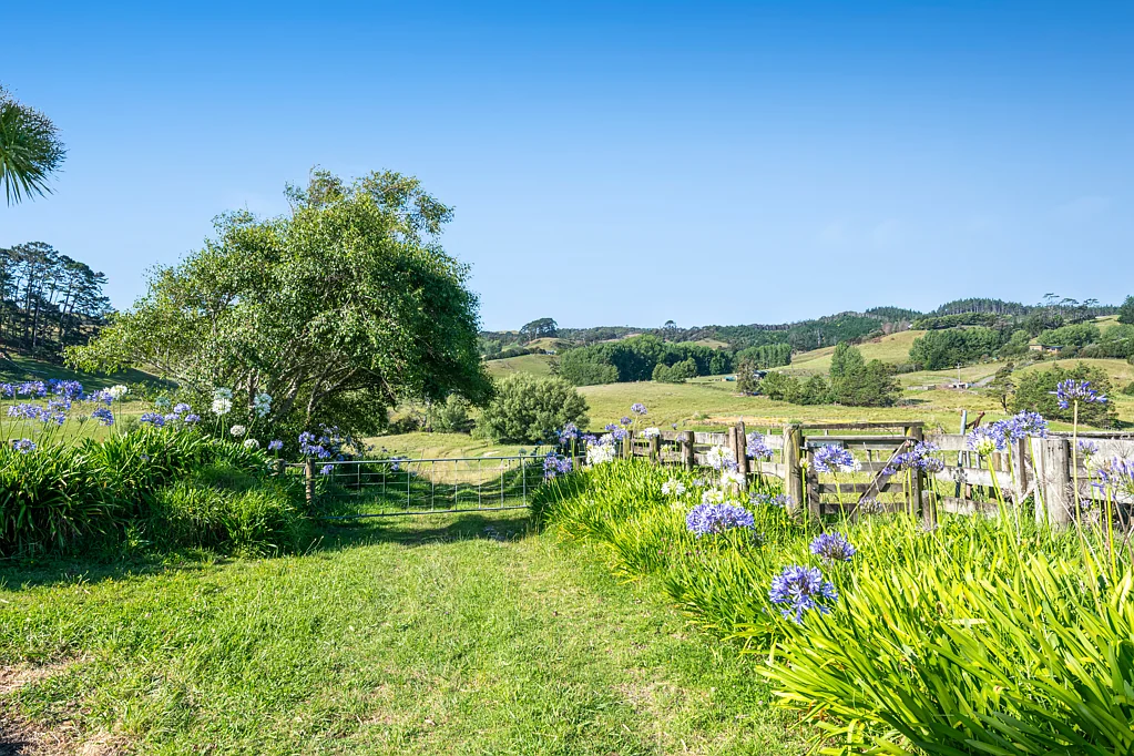 211 Stoney Creek Road, Kaukapakapa, Rodney, Auckland