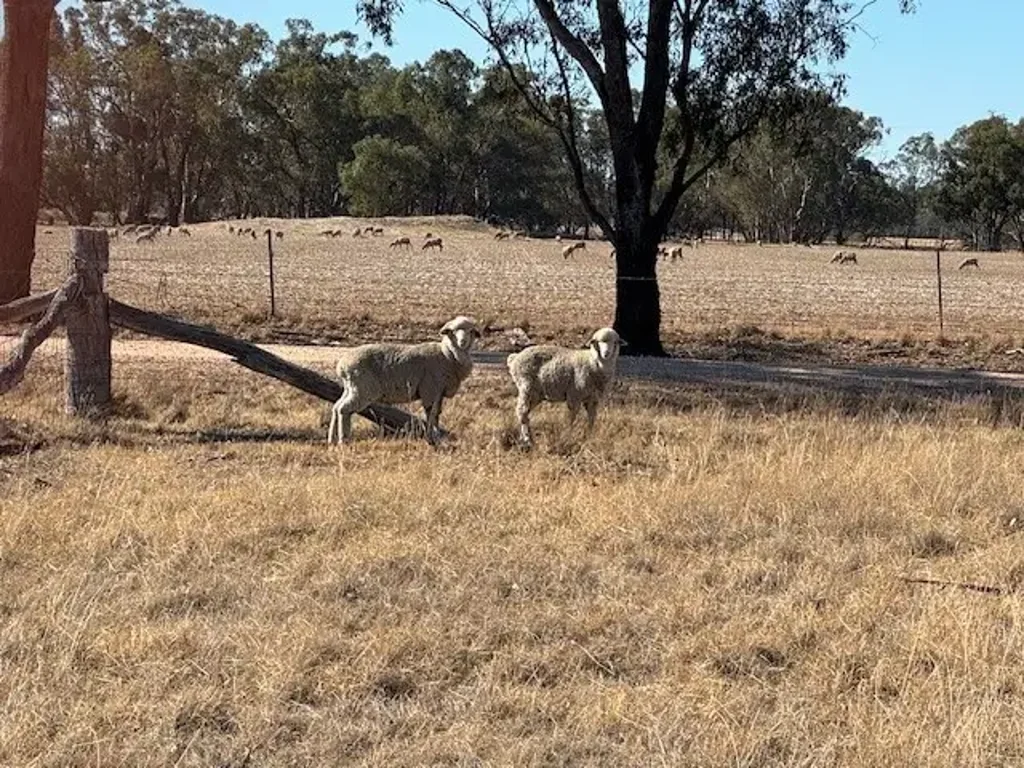 Kurting 14 ACRES - JUST  PERFECT!