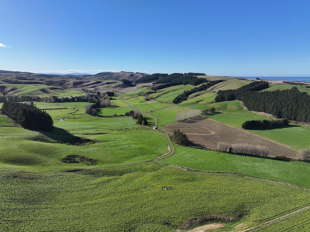 Milton  Grazing Dairy Support