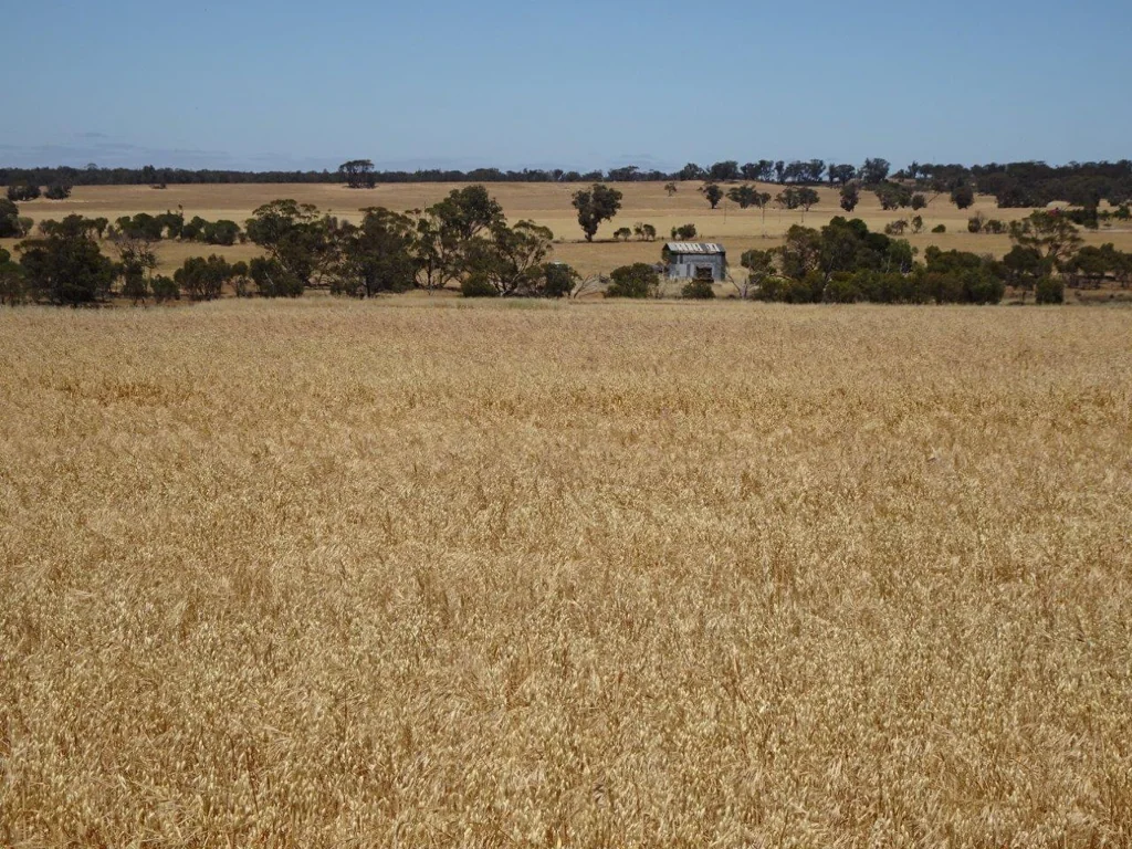  Bolts Road, Wagin, WA 6315