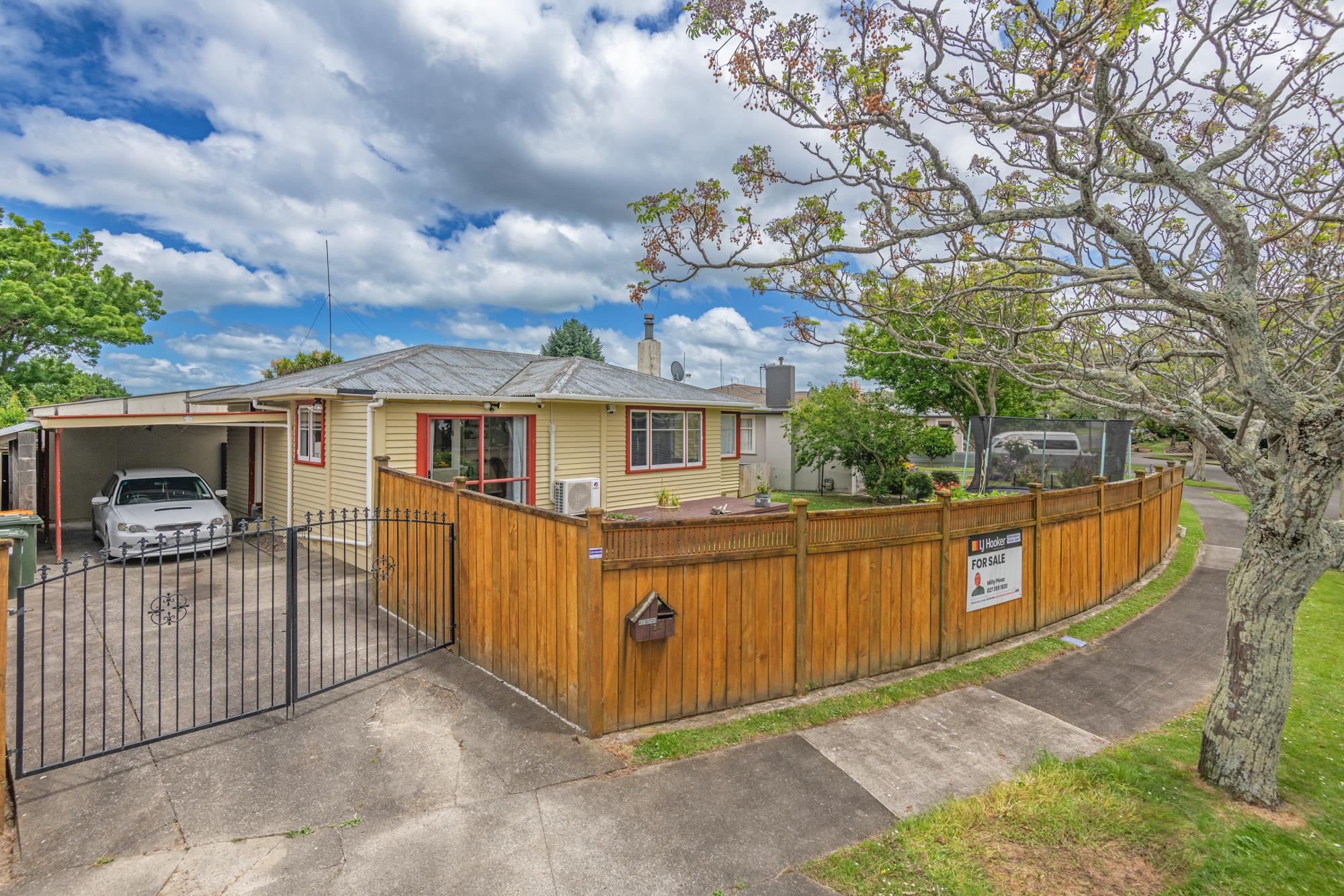 24 Snowdon Avenue, Terrace End, Palmerston North, 3房, 0浴, House