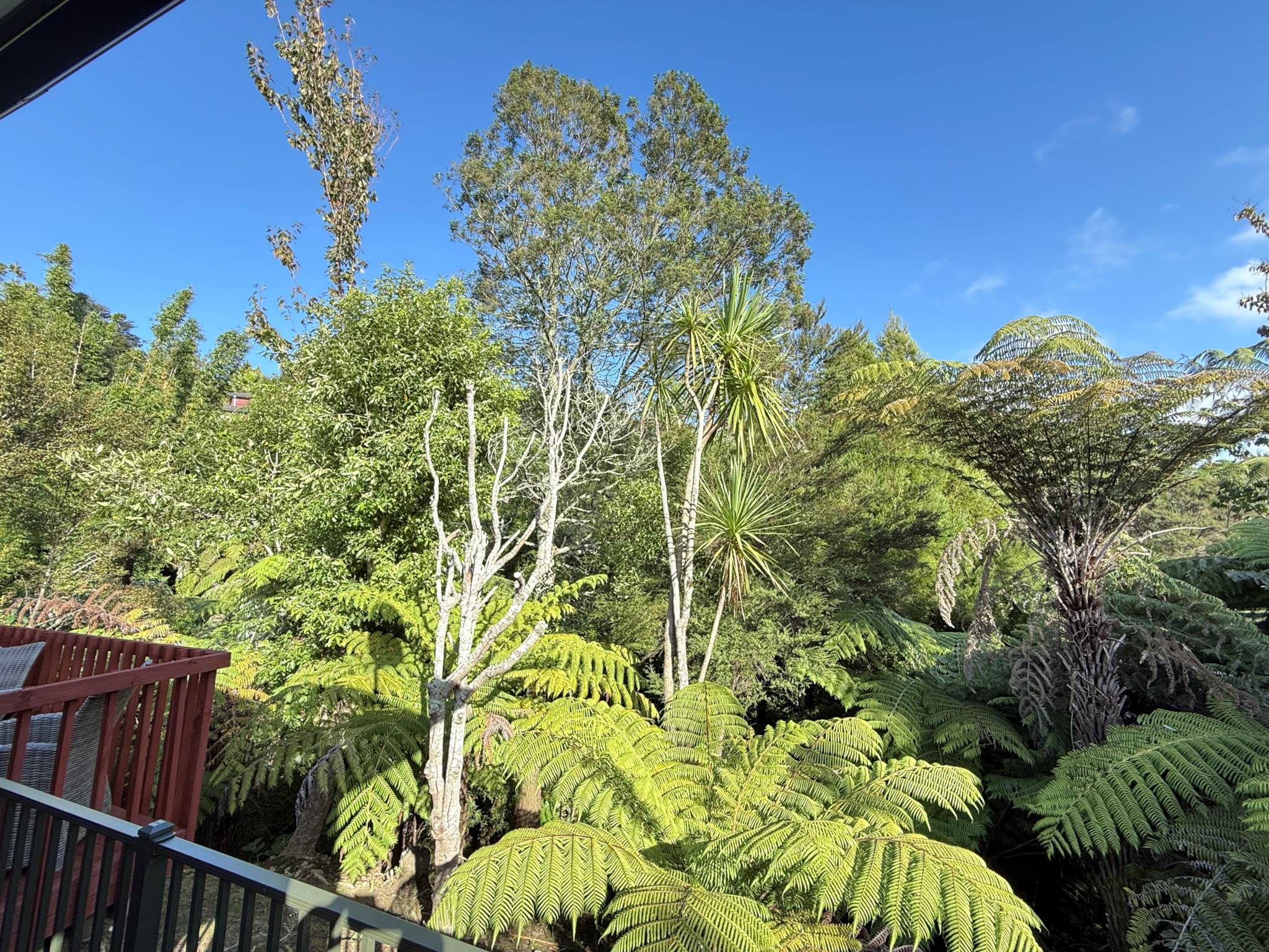 5 Springwater Vale, Unsworth Heights, photo 16