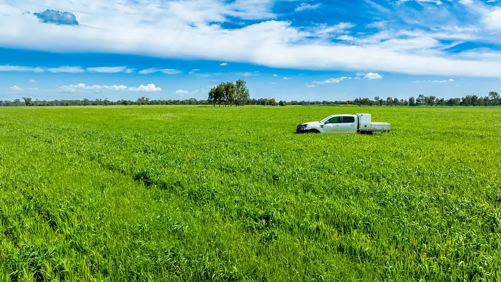 Walla Walla  PRIME LOCATION CROPPING BLOCK
