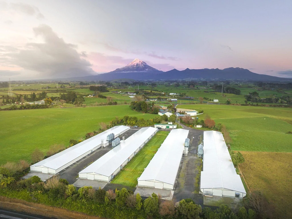 Egmont Village Multiple income streams, one rural investment