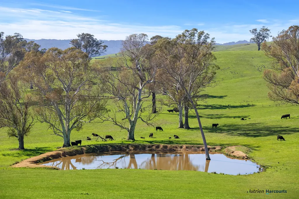 Alexandra Prime Grazing Property with Dual Titles & Top-Notch Infrastructure