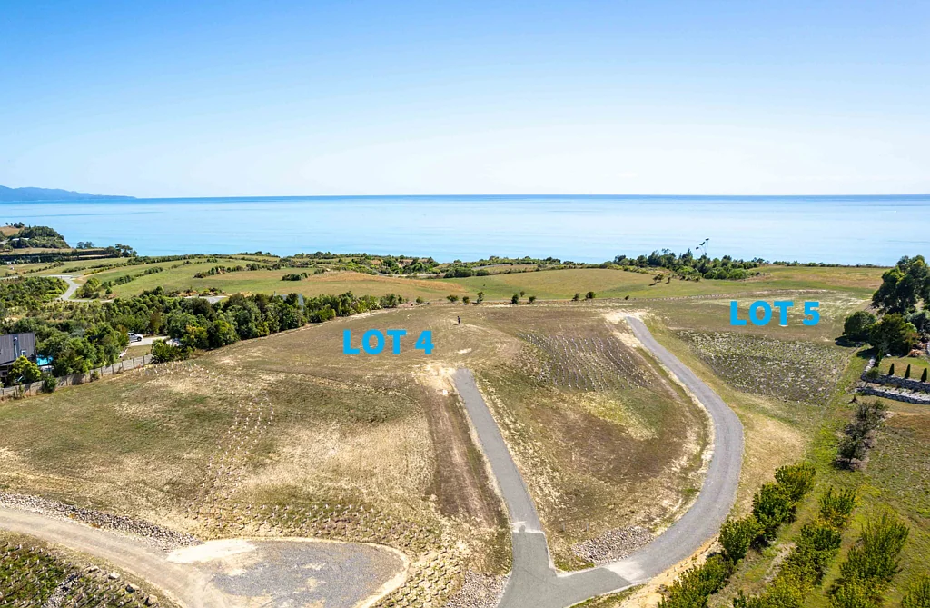Mapua Your Ideal Lifestyle Property in Coastal Tasman