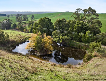 3049 Lavers Hill-Cobden Road, Simpson, Warrnambool and South West, 4 chambres, 2 salles de bain, Lifestyle Property