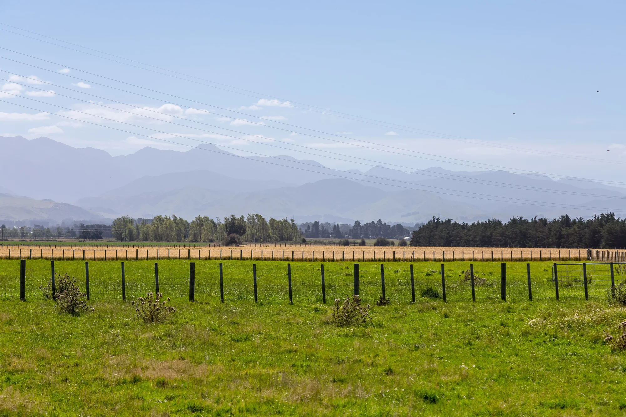 445 Perrys Road, East Taratahi, Carterton, Wairarapa, 0 Bedrooms, 0 Bathrooms, Lifestyle Section