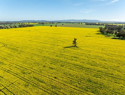 'Greenbank' 2 Mines Road, Young, Riverina, 5房, 2浴, Lifestyle Property