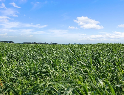  "Enfield" Westbank Road, Leslie Manor, Warrnambool and South West, 0 rūma, 0 rūma horoi, Lifestyle Property