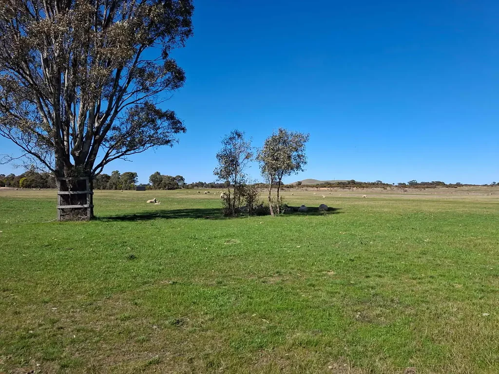 Talbot Prime Rural Living Opportunity