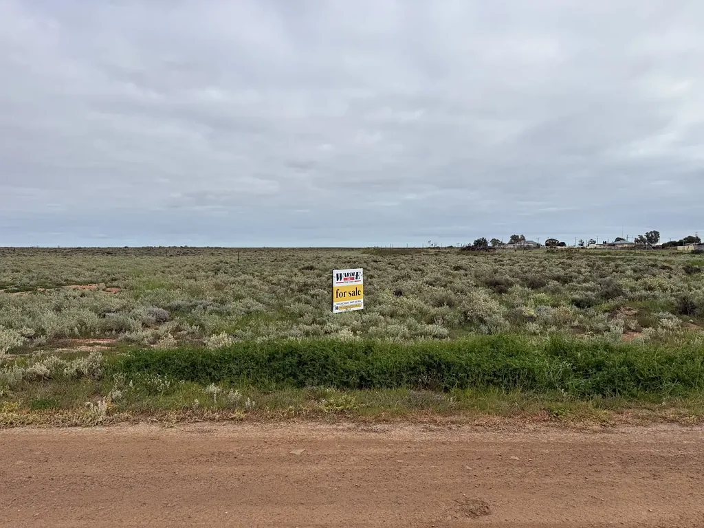 Port Pirie  Approx. 995m² | Affordable Vacant Allotment