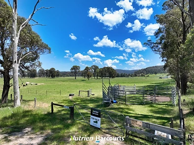 111 Old Walhalla Road, Toongabbie, VIC 3856, 0 slaapkamers, 0 badkamers, Lifestyle Property