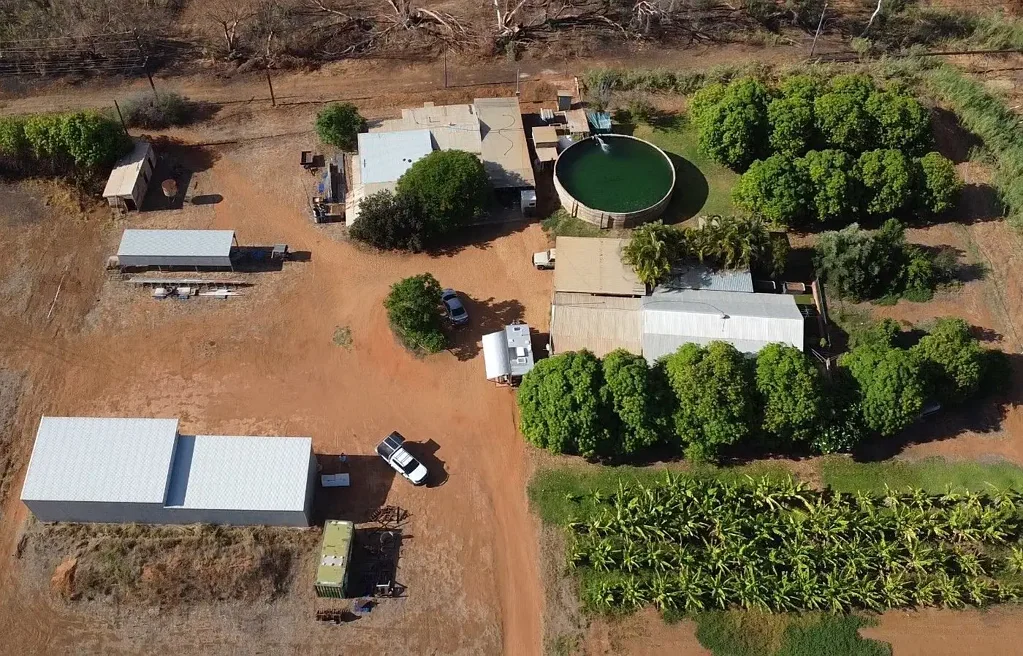 739 North River Road, Carnarvon, WA 6701