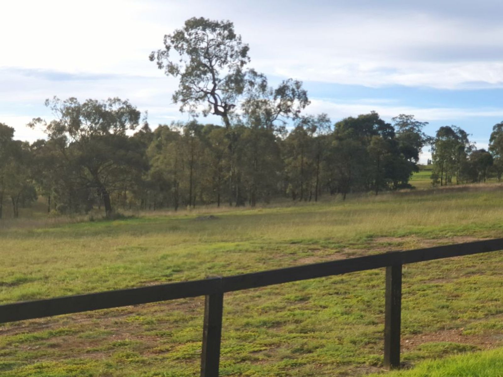 4 STABLE CL, MUSWELLBROOK NSW 2333, 0房, 0浴, Section