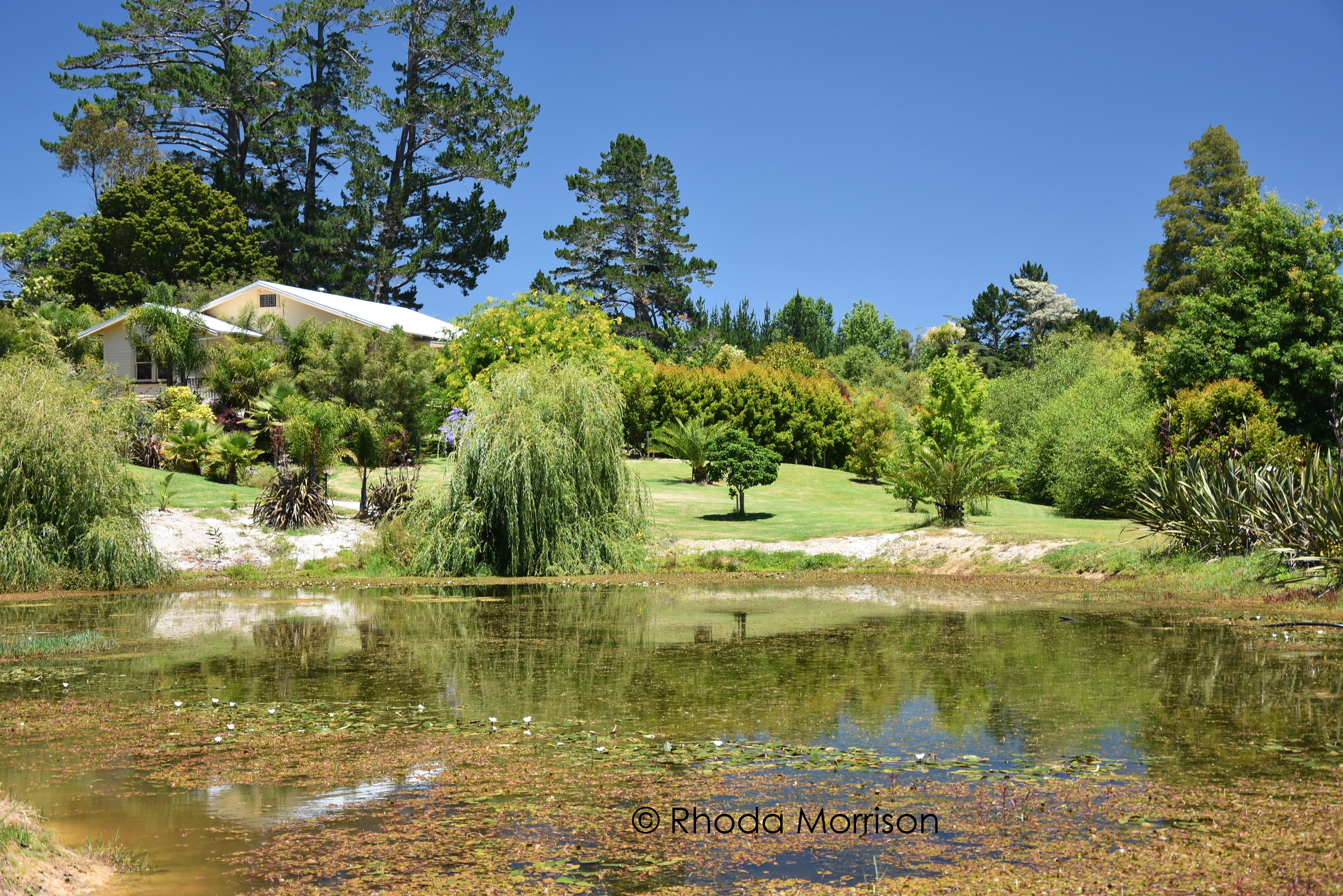 27 Hook Road, Paparoa, Kaipara, 3 Schlafzimmer, 0 Badezimmer