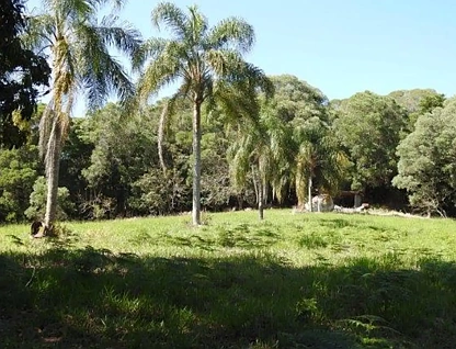 સરનામું રાખવામાં આવ્યું, Barrine, QLD 4872, 0 રૂમ, 0 બાથરૂમ, Lifestyle Property