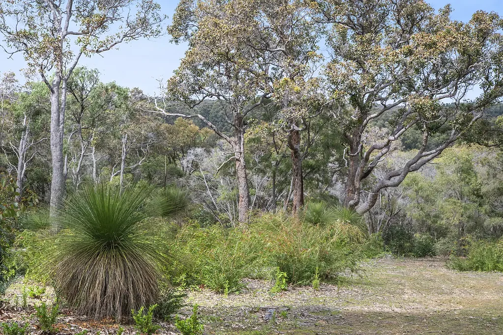 Wilyabrup Wilyabrup Holiday Dreamtime