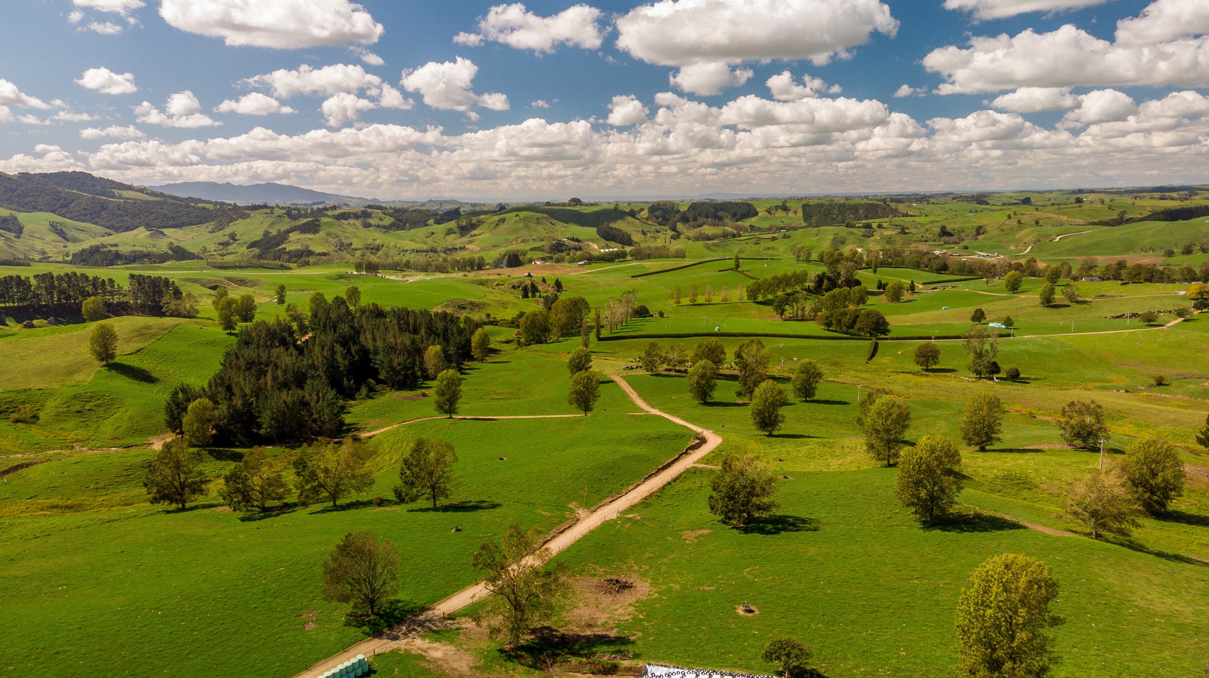 120 Pamotumotu Road, Maihiihi, Otorohanga, 0 ਕਮਰੇ, 0 ਬਾਥਰੂਮ, Dairy