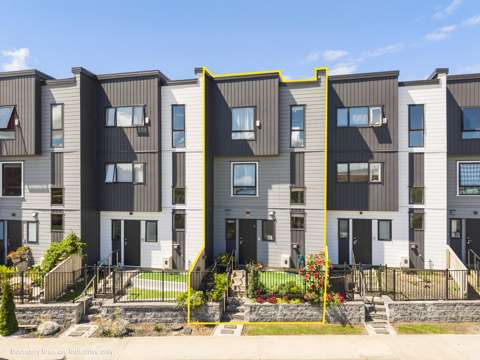 Flat Bush 4房  Modern & Spacious Freehold Family Home
