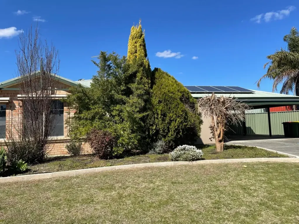 Stylish and Lavish Home in College Grove