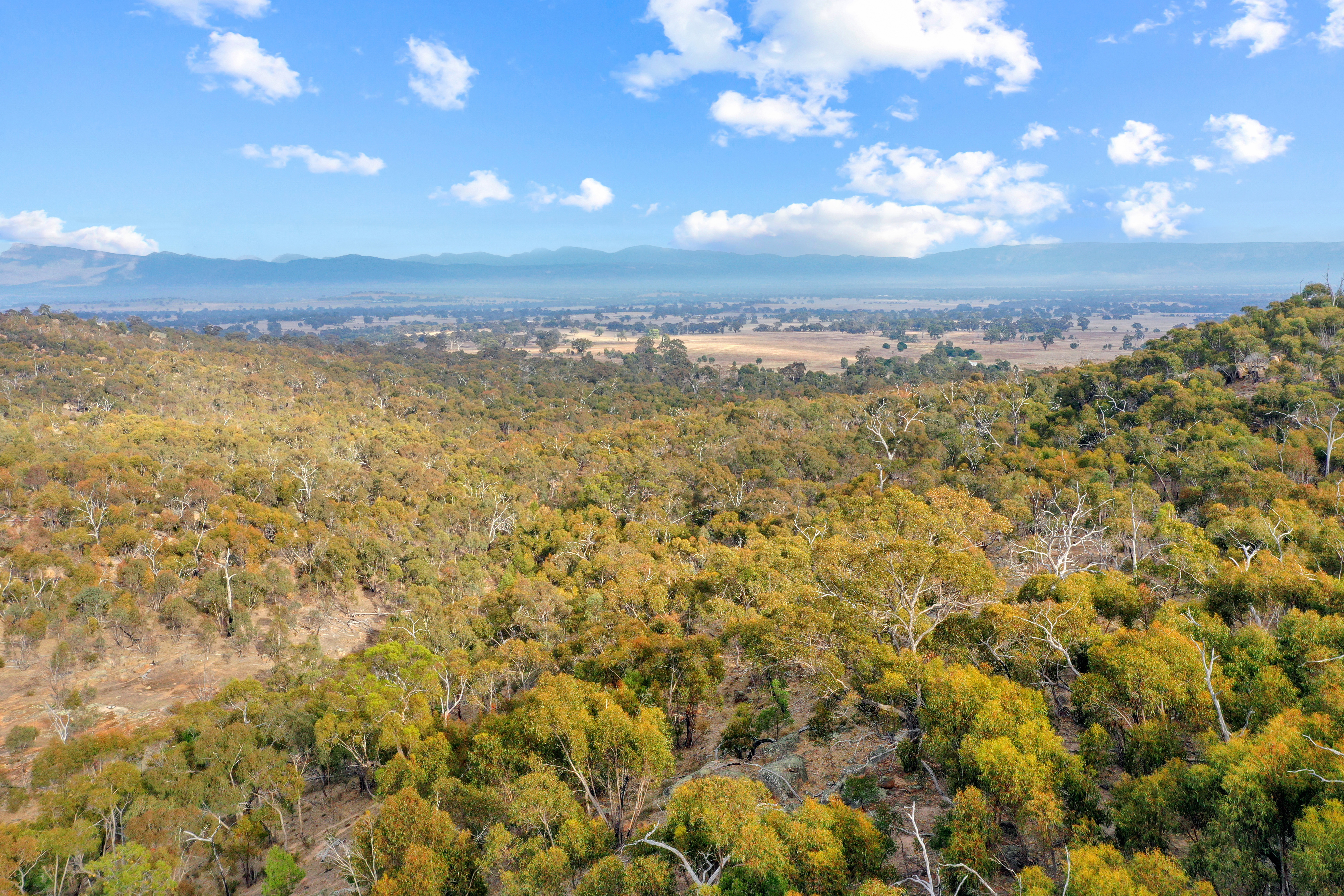 60 DARLINGTON RD, STAWELL VIC 3380, 0 Bedrooms, 0 Bathrooms, Section