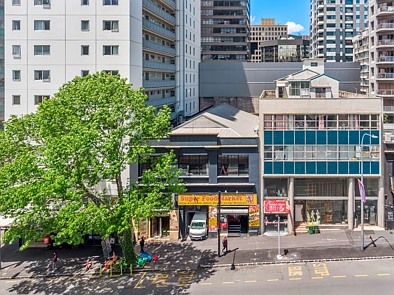 Auckland Central 1બેડરૂમ VERSATILE HOBSON STREET STANDALONE