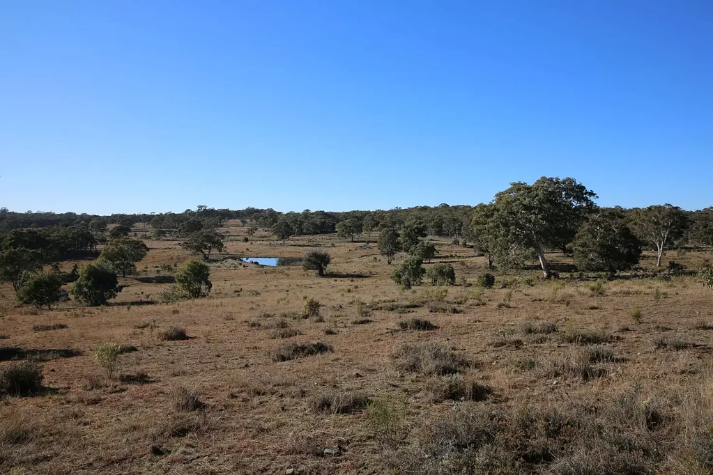 Mudgee MIXED USE FARM WITH GUARANTEED INCOME