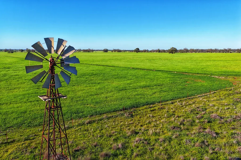 Albert Ray White Condobolin