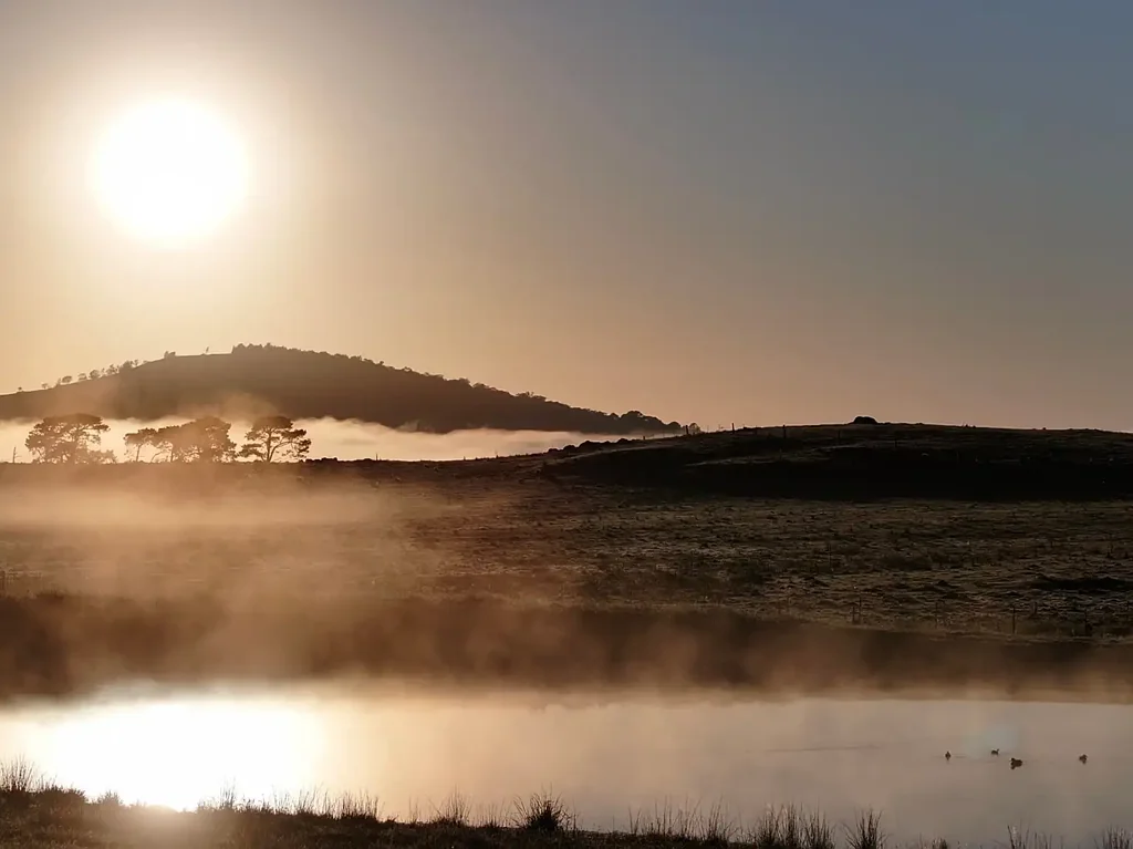 Braidwood A Ready-to-Run Rural Holding with Water, Views & Cottage Living