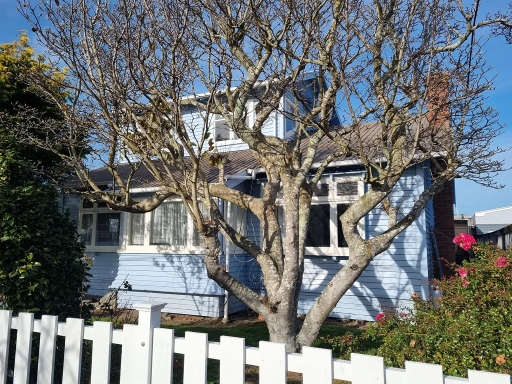 Alicetown 3chambre Large Character Home With Potential