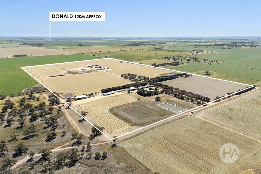 Donald 4कमरा Operational Commercial Piggery with Luxury home