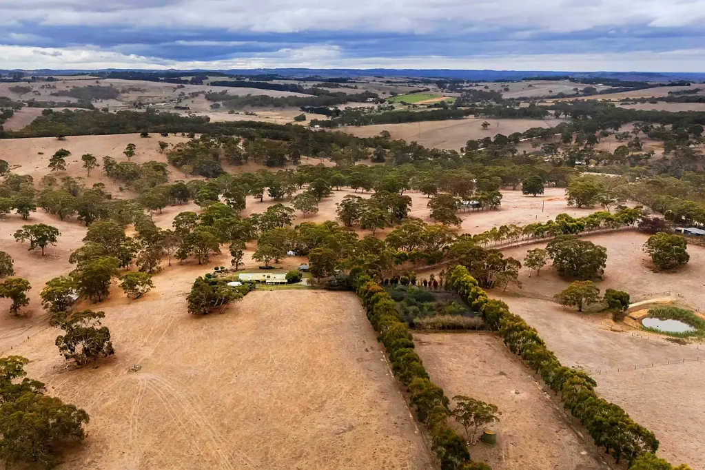 499 Mosquito Hill Road, Mosquito Hill, SA 5214