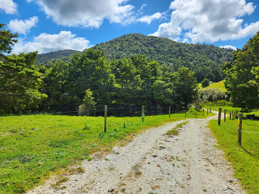 Dargaville Surrounds  Peaceful and Private Retreat