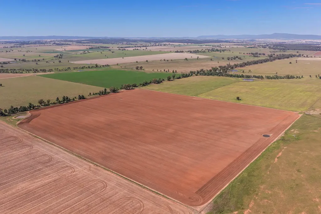 Pinnacle Percentage of crop included .Two Titles. 1,257 Acres Mixed Farming.