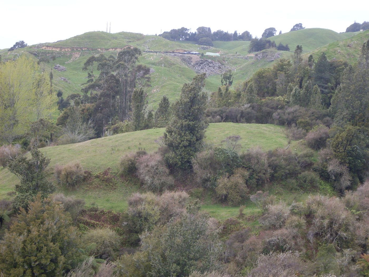 1016 Herepuru Road, Matata, Whakatane, 0 habitaciones, 0 baños