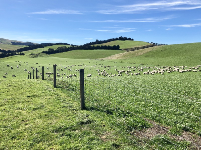 870a Glenmark Drive, Waipara, Hurunui, 0房, 0浴