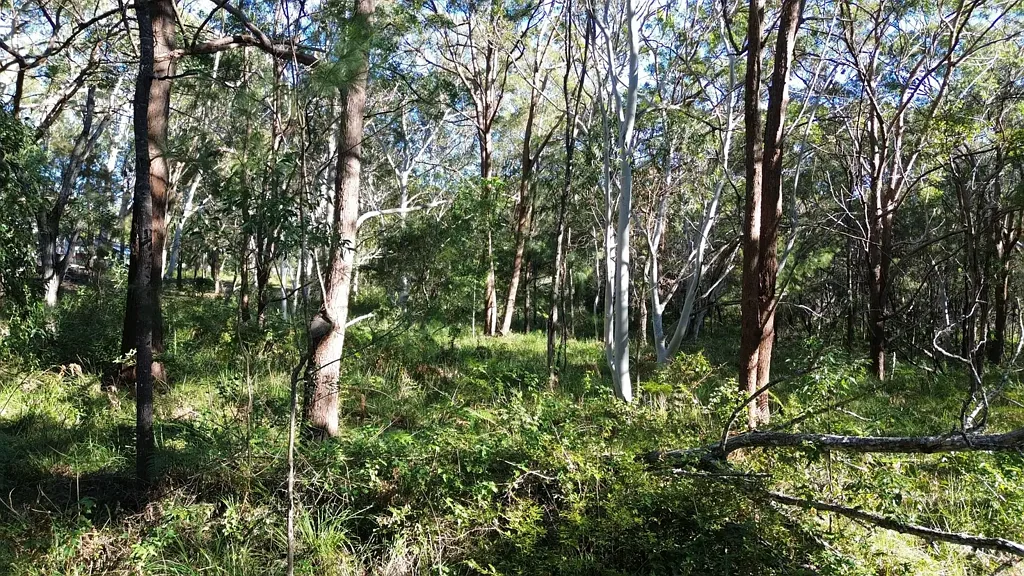 19 Eldon Drive, Russell Island, QLD 4184