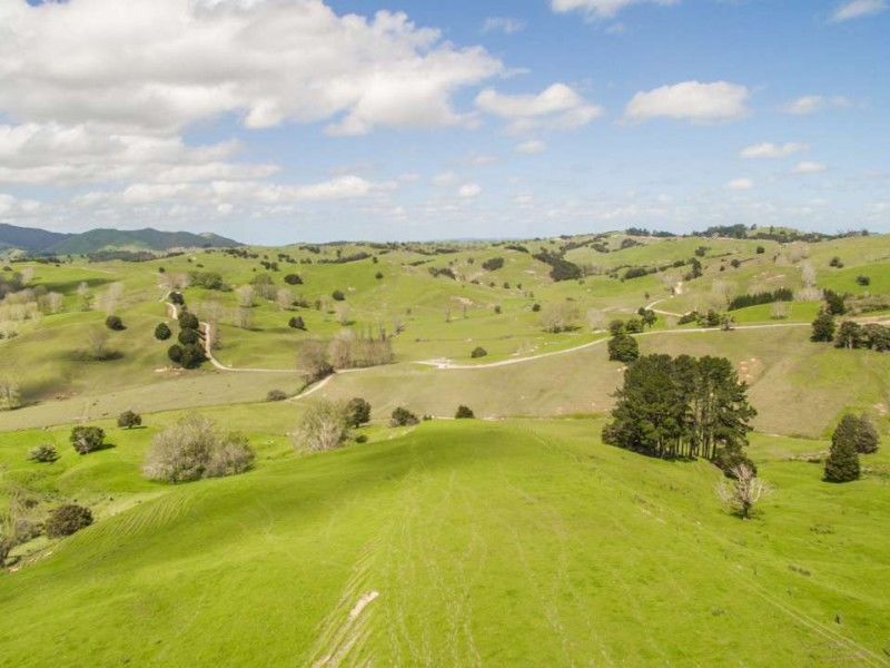 171 Girls High School Road, Tangiteroria, Kaipara, 0 habitaciones, 0 baños