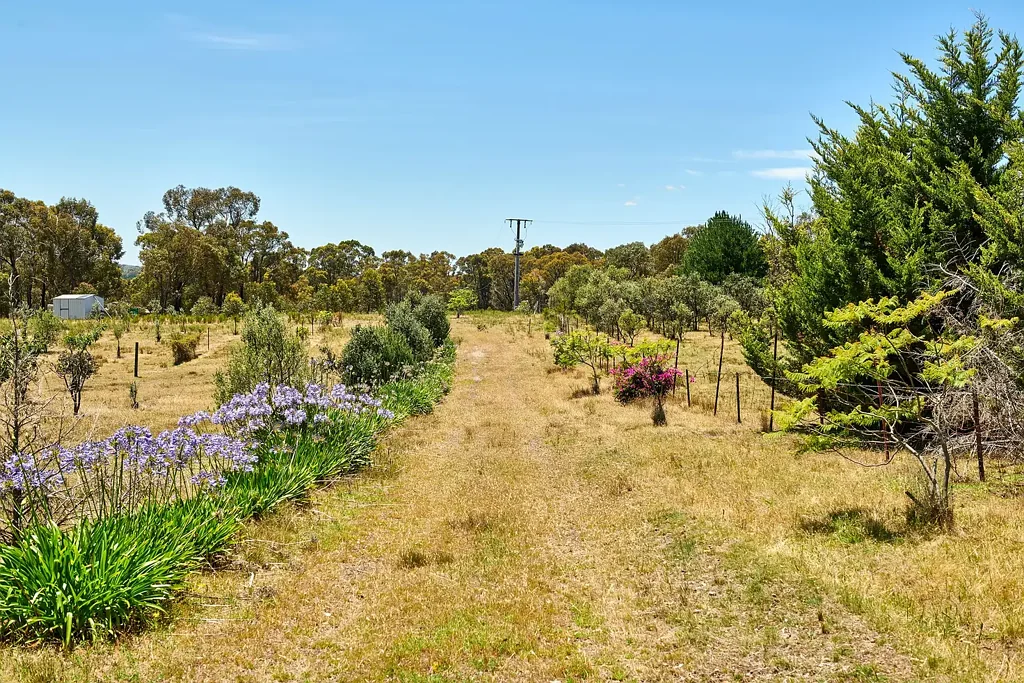 Heathcote  More Than Meets The Eye
