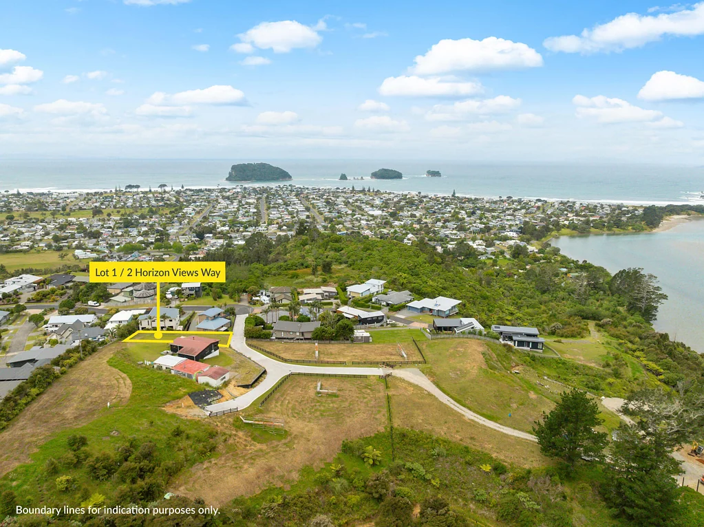Thames Panoramic Views- Section for Sale
