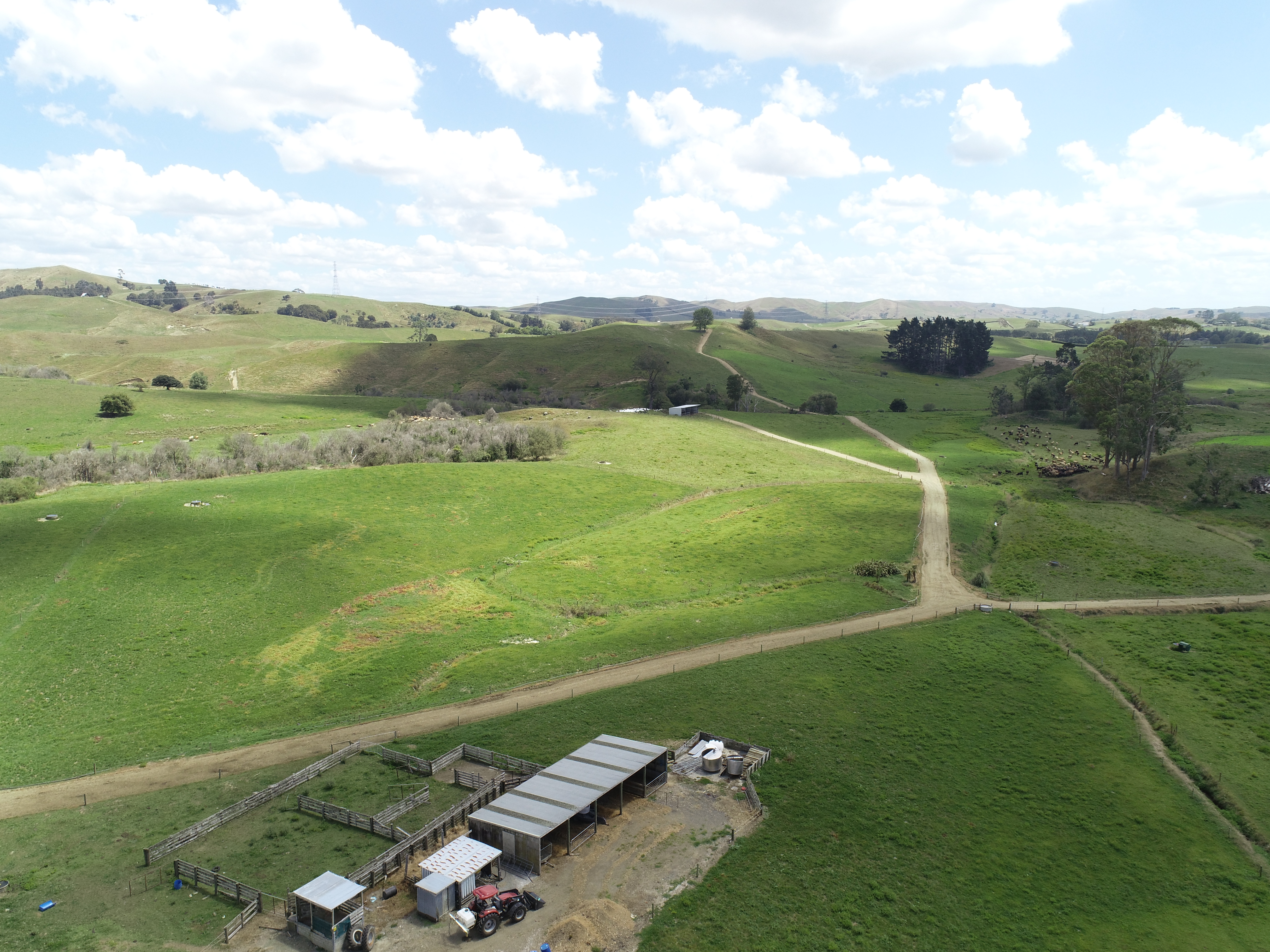 66b Washbourne Road, Morrinsville, Matamata, 0 Kuwarto, 0 Banyo, Dairy