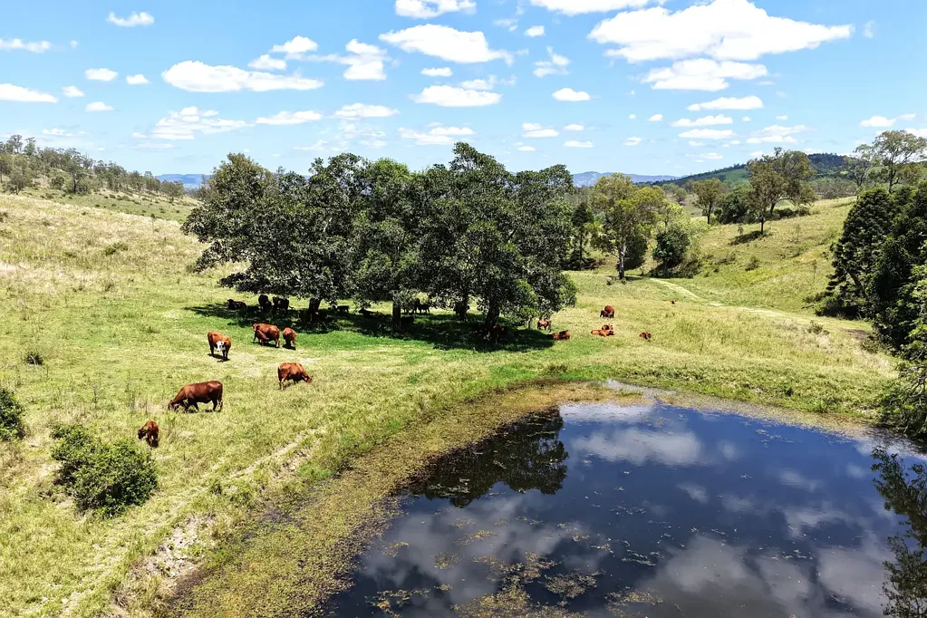 Scrub Creek "Burnbrae" Historic Dairy Farm on 194 Acres with Stunning Valley Views