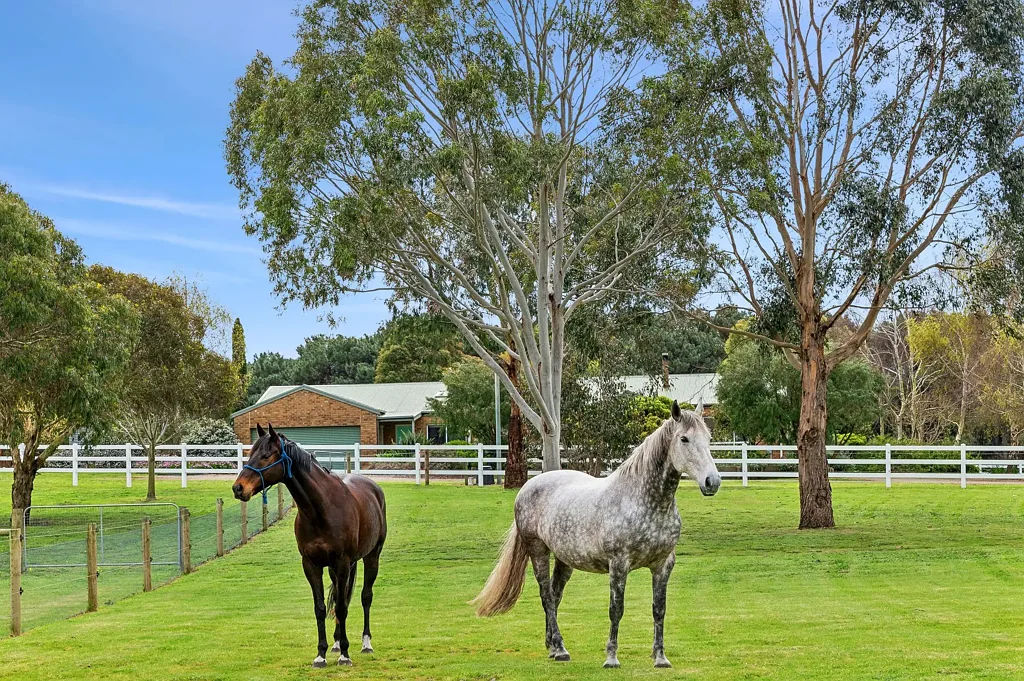 131-139 McKiernan Street, Drysdale, VIC 3222