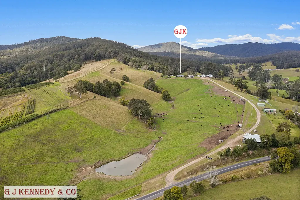 Taylors Arm  100-Acre Lifestyle & Productive Cattle Fattening Operation, Close to the Coast.